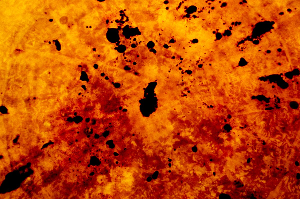 Color Abstractions