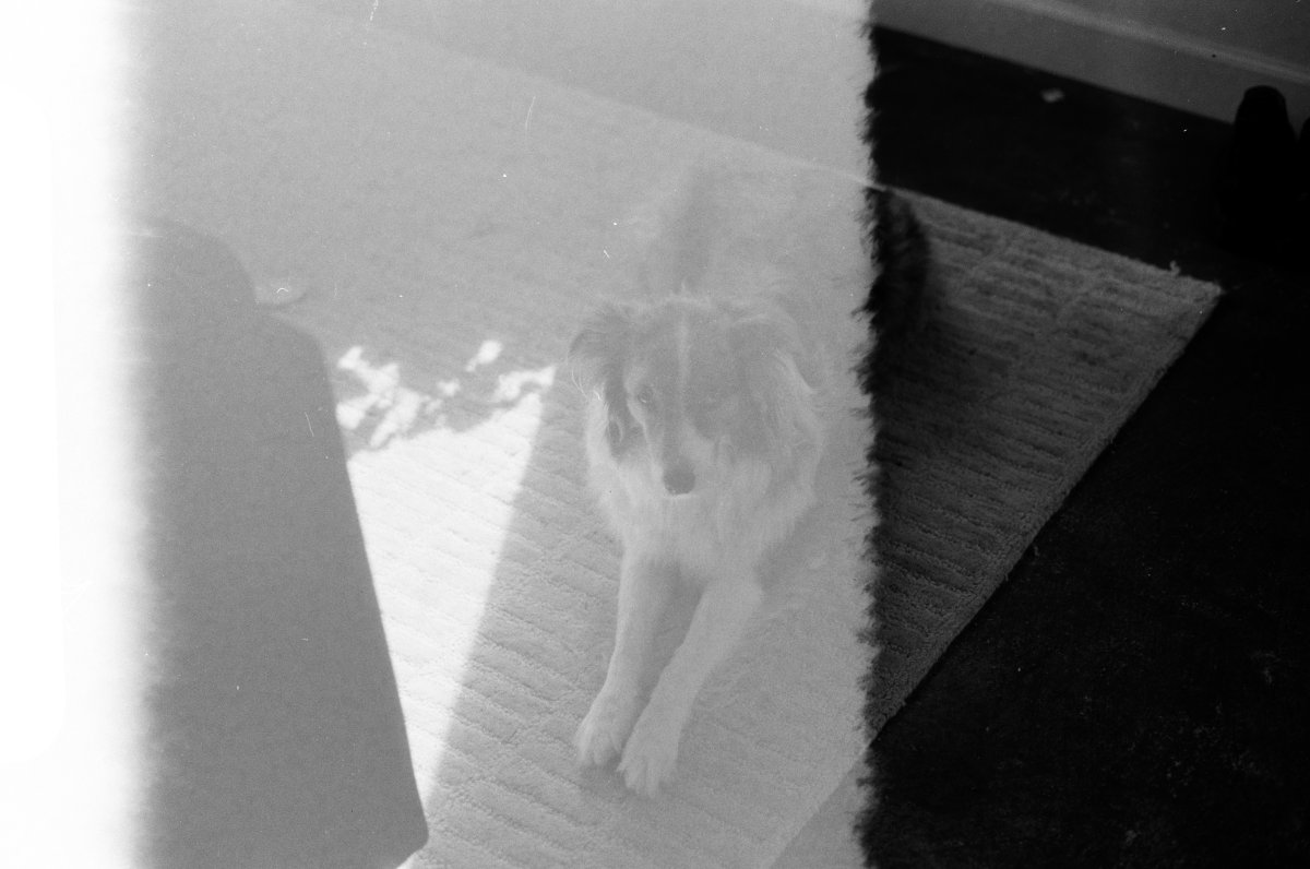 Murph B&W