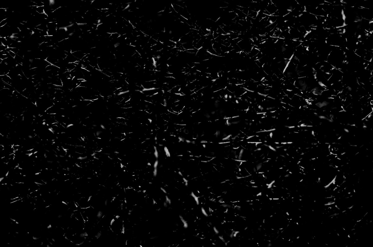 Space